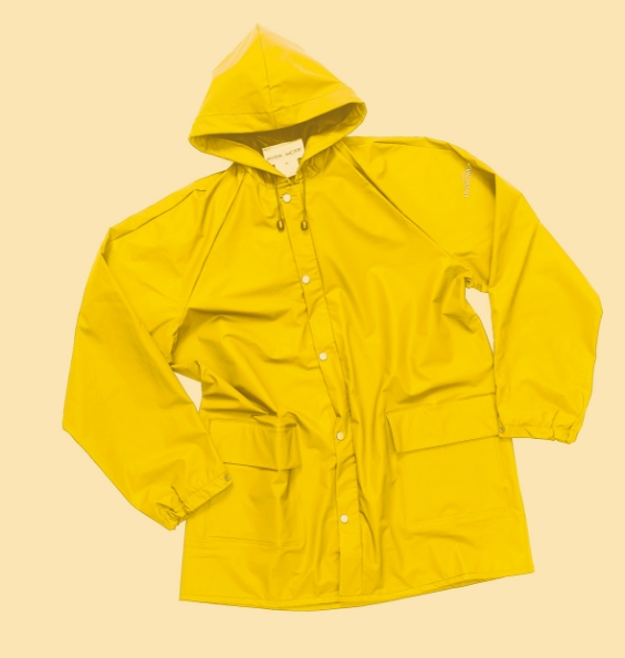 Afbeelding - Selsey-015020GE-jpg